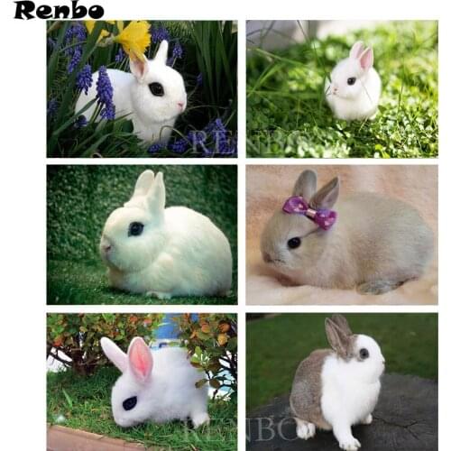 Diy diamond embroidery Animals Hotot diamond painting Full square Cross Stitch,Rabbit,rhinestones embroidery,Mosaic,Home Decor