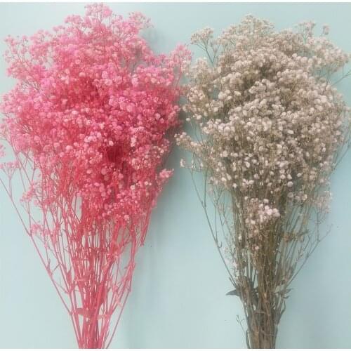80g/Bunch Colorful New Arival Gypsophila paniculata Natural Dried Flowers for Wedding ,Valentines， Home , Office decoration