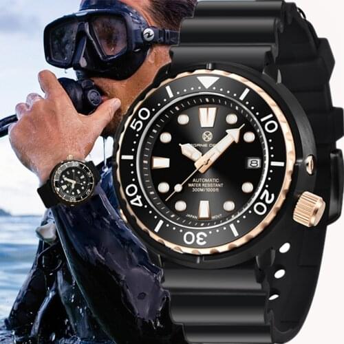 PAGRNE DESIGN Classic Luxury Mens Automatic Watches Sapphire Glass Mechanical Wristwatch Stainless Steel 300M Waterproof Clock