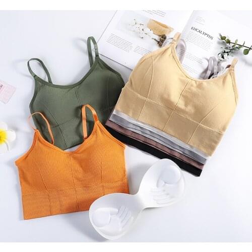 Cotton Womens Tops Sports Bra Breathable Shockproof Bra Running Gym Pure Color Underwear Girls Fitness Jogging Yoga