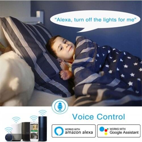 1 Pcs WiFi Smart Plug Outlet 2 in 1 Tuya Remote Control Home Appliances Works with Alexa Google Home Assistant No Hub Required