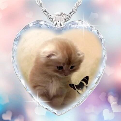 Exquisite Fashion Creative Elegant Crystal Glass Shining Eyeball Woman Necklace Cute Cat and Butterfly Pendant Charm Jewelry
