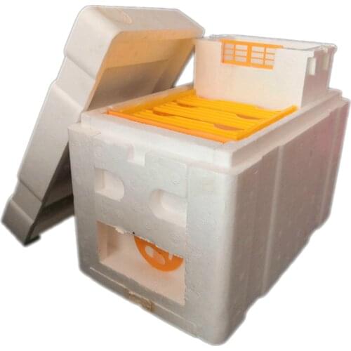X50 Mini Nucs Wholesale Complete Mini Mating Beehive with Plastic Frames Removable Feeder Beekeeping Pollination Box Nuc Beehive
