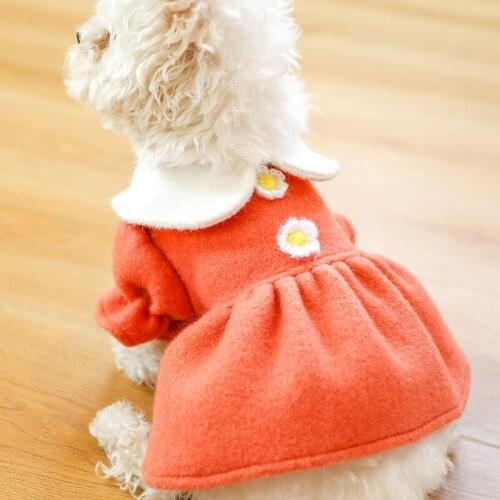 Autumn and Winter Pet Dog Clothes Warm and Comfortable Dog Dresses Princess Skirt Puppy Clothes Winter Girl Dog Clothes