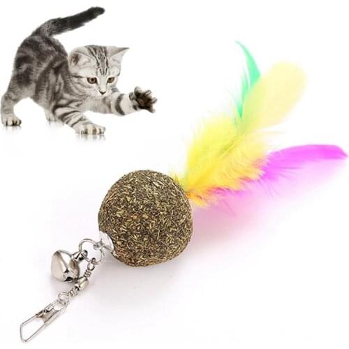 1 Piece Colorful Cat Feather Toy Replacements Refills Attachments Interactive Cat Teaser Toy Funny Pet Kitten Toys Accessories