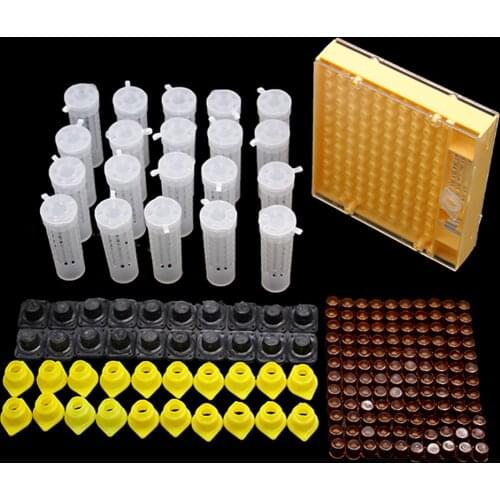 1SET Queen Bee Rearing System Kit Plastic Cell Cage Protection Cover Base Box Cup Queens Beekeeping Bees Apiculture Supplies