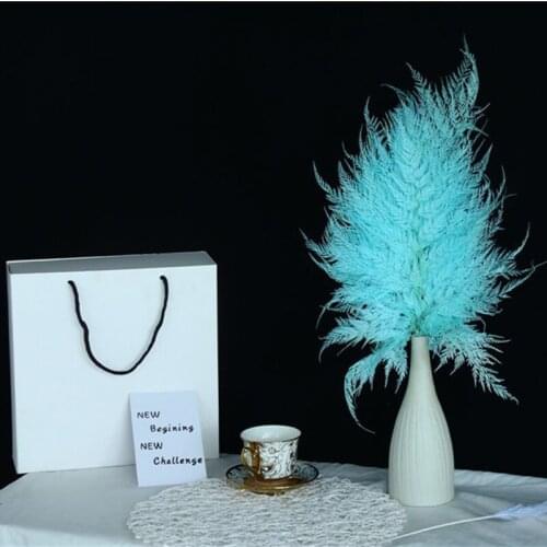 10pcs Preserved Plant Artificial Leaves Natural Dried Plants High Quality Crafts Home Living Room Farmhouse Mariage Decoration