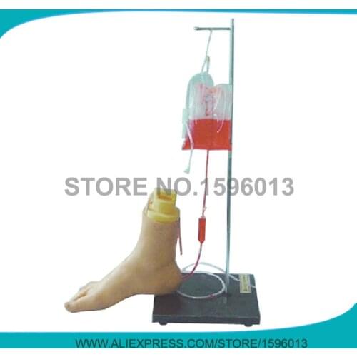Foot Vein Injection Model, Foot Intravenous model