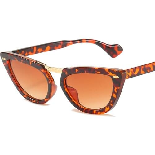 Bohosco Cat Eye Vintage Sunglasses Fashion Goggles Sexy Small Women Retro Sun Glasses Outdoor Riding Fishing Shades Eyewear