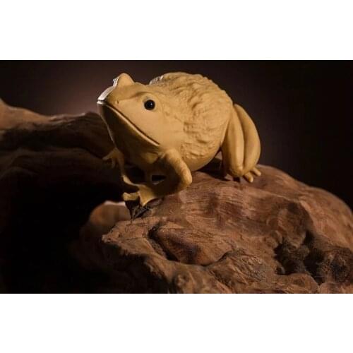 Pet Tea Frog Accessories, Special Sitting Gifts, Boxwood Carved Crafts, Crafts