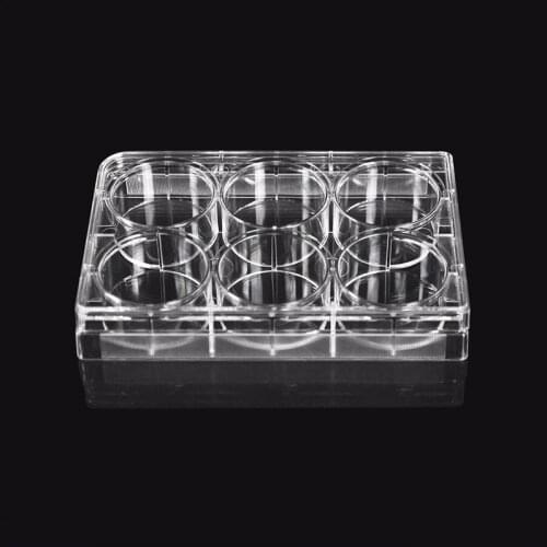 Lab Supplies Customized 6 Well Culture Plate Individual Packed Petri Plates