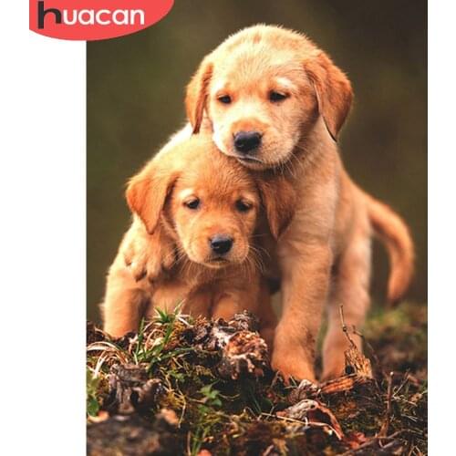 HUACAN Diamond Art Painting Dog Pet Full Square/round Mosaic Animal House Decoration Embroidery Wall Stickers