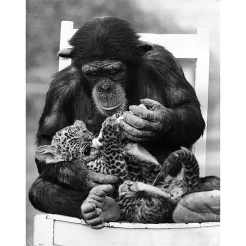 Yumeart DIY Diamond Painting Funny Animals Gorilla & Leopard Cub Diamond Embroidery Cross Stitch Home Decoration Black White Art