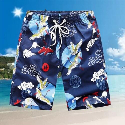 Litthing Men's Swim Shorts