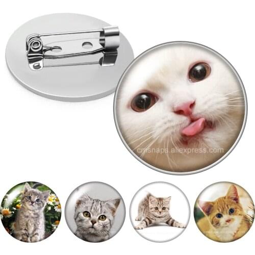 New Cute Cat Lovely cats Love Pet Family Glass cabochon Brooch Dome Photo Jewelry Brooches Pin Men Woman Gift