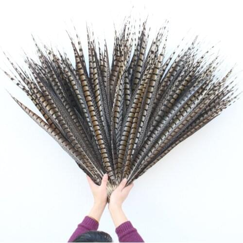 Wholesale Original Natural Lady Amherst Pheasant Feathers 65-70cm 26-28inch Decorative Performance Accessories Carnival