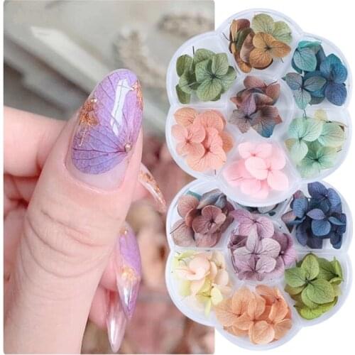 Mix Dried Flowers Nail Decorations Jewelry Natural Floral Leaf Stickers 3D Nail Art Designs Eternal flower Dried flower drill