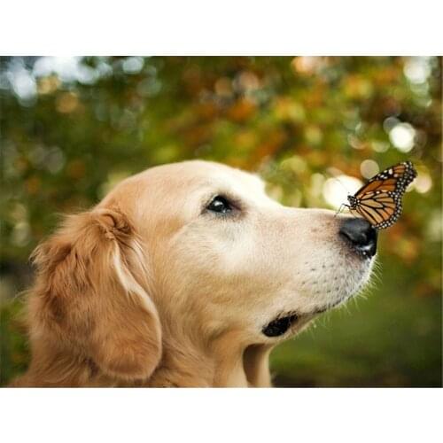 Animal Dog DIY Cross Stitch Embroidery 11CT Kits Needlework Craft Set Printed Canvas Cotton Thread Home Decoration On Design