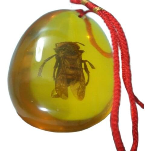 China Old Amber Unique WaspAmber Pendants Classic Art Collection And Home Decorations