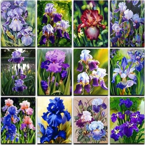 Наборы для алмазной вышивки Gonzalez China At AliExpress