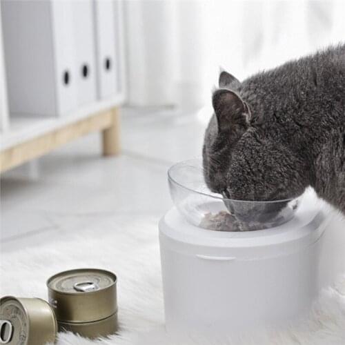 New Cat Feeder with Stand Large Capacity Pet Double Bowls White Food Storage Raised Container Transparent Water Bowl Supplies