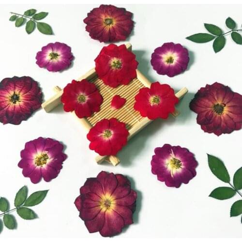12pcs Pressed Real Dried Flower Half Cut Rose for DIY Home Ornament Resin Casting Making Christmas Card Decoration