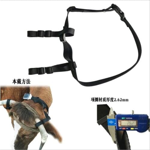 Solar GPS Tracker Collar Holder Large Animals Neck Collar Belt for Big Dogs Sheep Horse Cow Camel for GPS Tracker V26 V34 V44