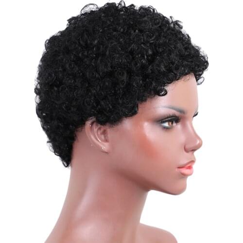 6 Inch Afro Wig for Black Women, Short Curly Human Hair Wig,Soft African Amercian Full Wig with Free Wig Cap