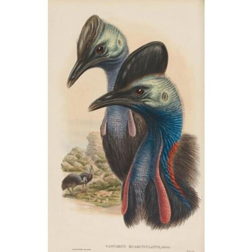 Pastoral animal birds ostrich scenery set oil painting canvas prints printed on canvas wall art decoration picture