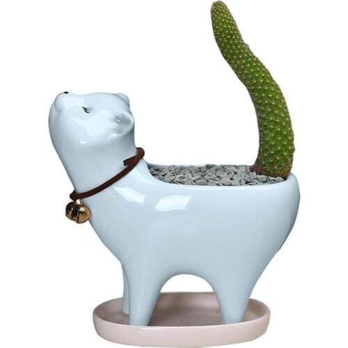 Kitten Ceramic Succulent Pots with Drain Hole Mini Pots for Plants Cactus Plants Containers for Home and Office Decoration