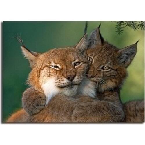 Full Round Diamond embroidery Cross stitch Lynx Full Square Diamond painting cat DIY 3D Diamond mosaic animal