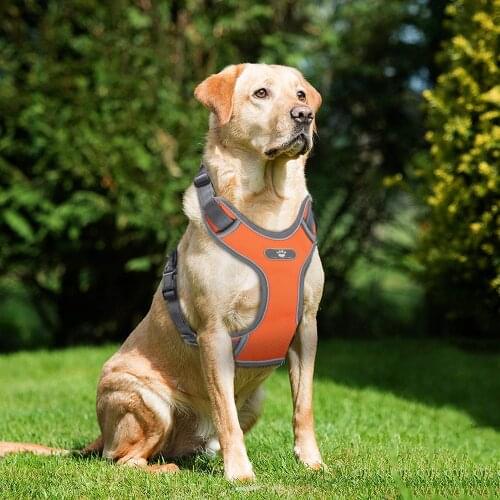 New Large Dog Harness Vest Breathable No Pull Dog Training Harness Adjustable Reflective Pet Harnesses For Pitbull Labrador