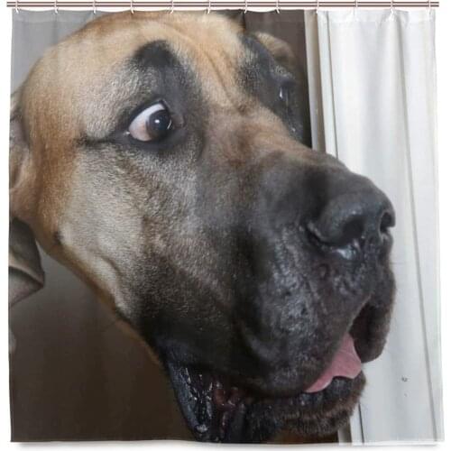 Animal Great Dane Dogs Funny Shower Curtain Astonished Labrador Staring At Your Naked Body Bathroom Curtain Decor With 12 Hooks