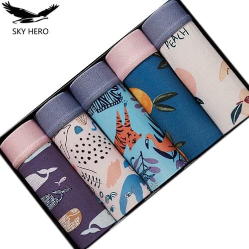 SKY HERO Men's Briefs With Print