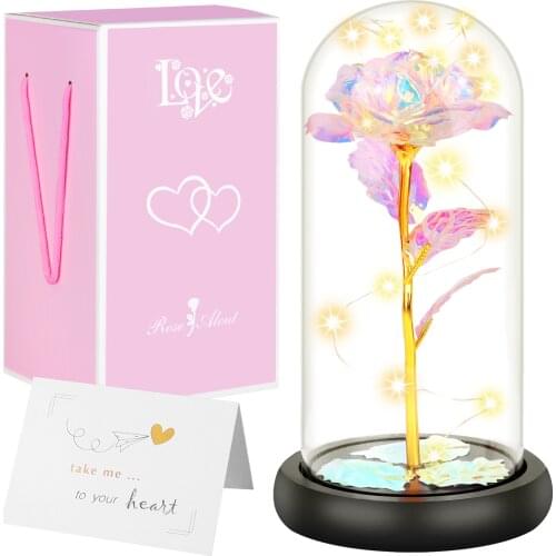 Behogar Eternal Rose Flower with Warm Led Light in Dome Glass Cover and Greeting Card for Valentines Day Birthday Gift Decor