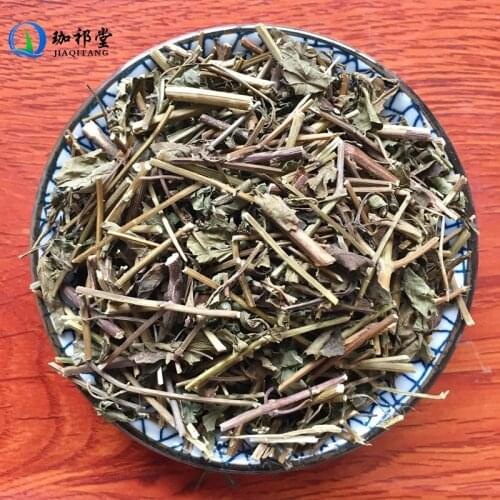 Herba Rabdosiae Rabdosia Rubescens Hamst. Dong Ling Cao