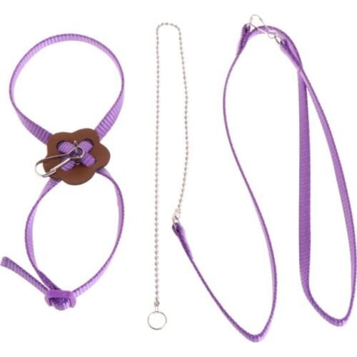 Anti-bite Flying Training Rope Parrot Bird Pet Leash Kits Ultralight Harness Leash Outdoor Adjustable Harness Training Rope