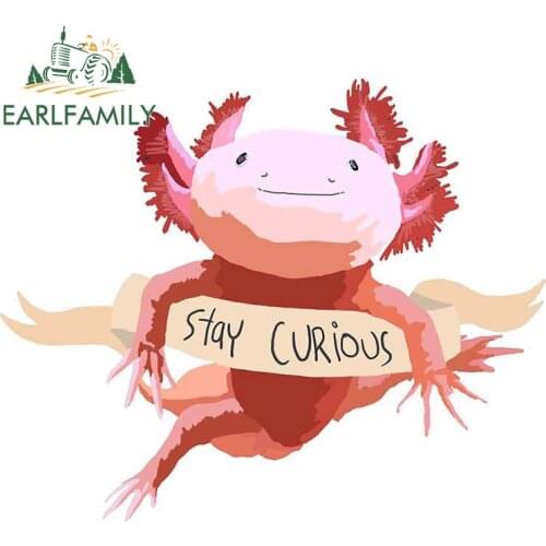 EARLFAMILY 13cm for Stay Curious Axolotl Car Accessories Refrigerator Windows Windshield Car Decor Fine Creative Decal