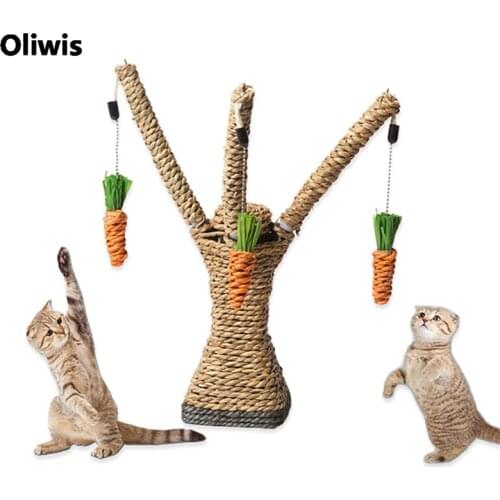 OLIWIS Goods For Sports And Recreation