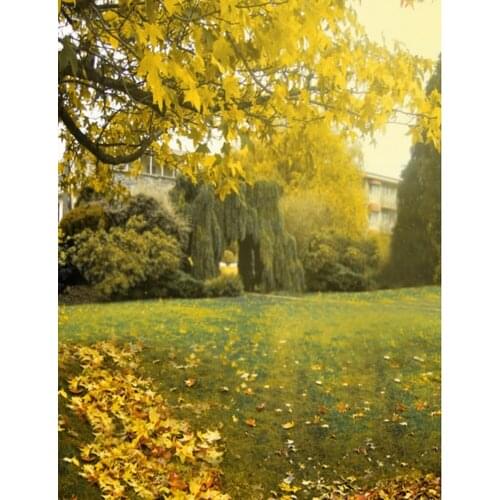 5x7ft Fall Autumn Tree Grass Photography Backdrops Photo Props Studio Background