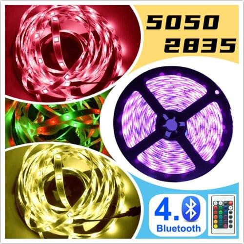 LED Strip Light luces Led RGB 5050 2835 Waterproof Flexible Lamp Tape Ribbon With Diode Tape DC 12V 5M lightings