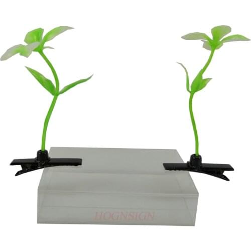 2pcs hair clip Flowers and plants hairpin plant display cute artifact seedling hairpin head long grass weird cartoon