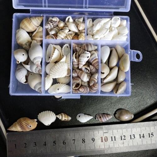 100Pcs/Box holes small Natural Conch Shells Corn Screw hole Decoration DIY Aquarium Landscape Seashells Crafts/party Decor