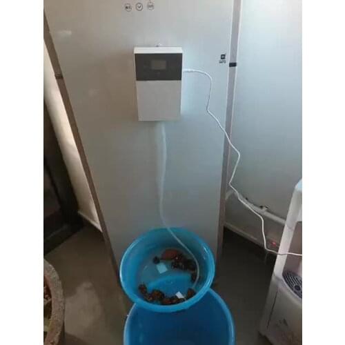 Automatic Fruit and Vegetable Bubble Washing Machine for Kitchen Carrot and Apple Cleaning Equipment for Farm Frozen Key Power