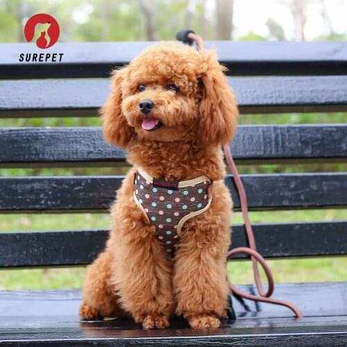 Cute Dogs Harness Harness Chest Strap Pets Leash Dog Chain Teddy Small Dogs Chest Strap Pets Supplies