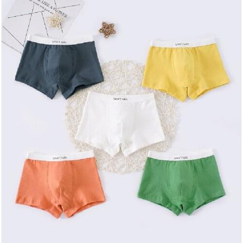 Boys Underwear Children Panties Boys Pure Cotton Solid Boxer Shorts Childrens Panties Kids Underwear For 2-16 Years 5 pcs