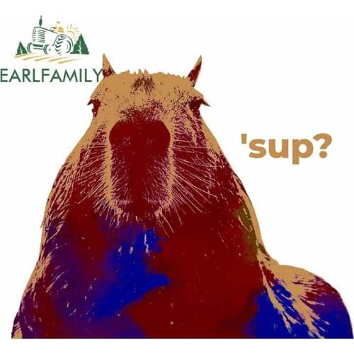 EARLFAMILY 13cm x 10.5cm for Cute Capybara Sup Car Stickers Windshield Trunk Anime Decal Waterproof Motorcycle Bumper Decoration