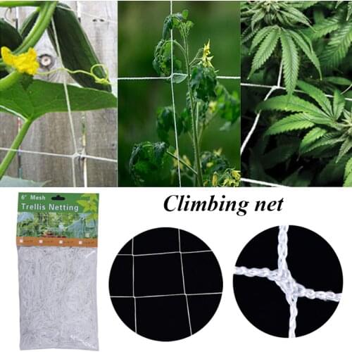 Mesh 2.7/5/10m Polyester Net Loofah Netting For Morning Glory Vine Flowers Garden Plants Climbing Net Cucumber Vine Grow Holder