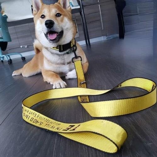 3.5cm Dog Harness Leash Set 3pcs Printing Pet Lead Set Dog Outdoor Rope Training Accessory Adjustable Nylon Dog Puppy Harness