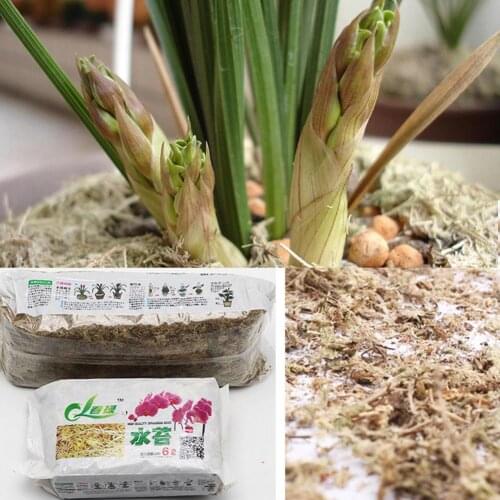 12L Sphagnum Moss Moss Sphagnum Nutrition Organic Fertilizer Sphagnum For Orchid Garden Supplies Flower Phalaenopsis Musgo S0U8